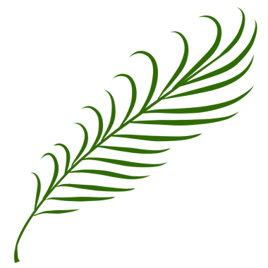 Yaz palmiyesi çizim yapar