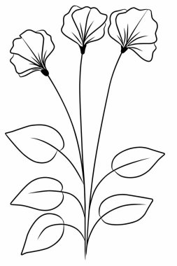 Tasarımınız için yaban çiçeği çizimi