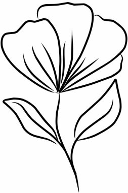 Tasarımınız için yaban çiçeği çizimi