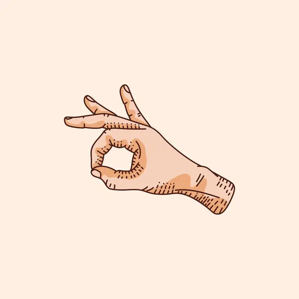 Рука Показує Знак Гаразд Людський Жест Рук Векторна Ілюстрація Ізольованому — стоковий вектор