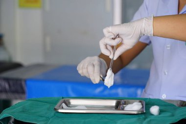 Doktorluk mesleği..