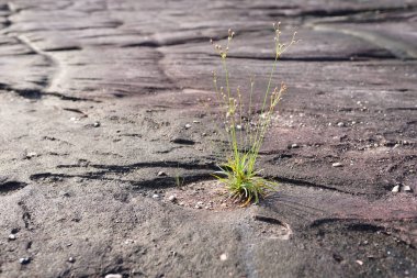 Phu Pha Thoep, Mukdahan 'da turistik bir merkezdir..