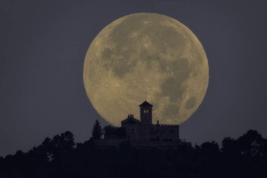 Dolunay 12. yüzyılda, ağaçlarla çevrili bir ormanın ortasında, Roma tapınağında batıyor..