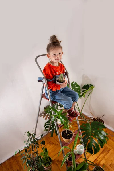 Κοριτσάκι Απολαμβάνει Έναν Ώριμο Κάκτο Φροντίδα Φυτών Στο Σπίτι Δωμάτιο — Φωτογραφία Αρχείου