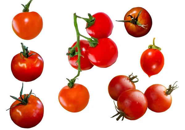Various tomatoes and cherry tomatoes. Red tomatoes from different angles for design