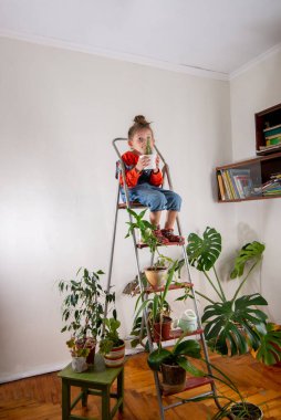 Küçük kız yetişkin bir kaktüsün tadını çıkarıyor. Ev bitkisi bakımı. Bir sürü çiçekli oda.