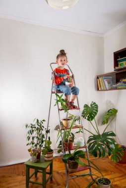 Küçük kız yetişkin bir kaktüsün tadını çıkarıyor. Ev bitkisi bakımı. Bir sürü çiçekli oda.