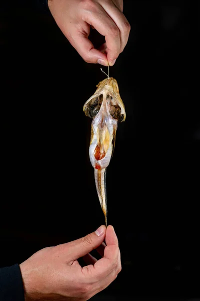 Salted Dried Goby Fish Fish Appetizer Beer Stockfish — Stock Photo, Image