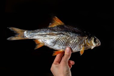 Salted dried perch fish. Fish appetizer for beer. Stockfish
