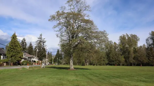 Vancouver 'ın 40 km güneyindeki Douglas Sınır Kapısı' nda yer alan Peace Arch Park, Kanada ve ABD 'li ailelerin birleşmek için bir araya geldiği manzaralı bir yer olarak hizmet veriyor.. 