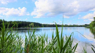 Conservation Halton 'da yuva yapmış Kelso Cove Su Parkı yemyeşil alanlarla çevrili su aktiviteleriyle ferahlatıcı bir kaçış sunuyor. Sadece 15 dakikalık bir sahil yürüyüşü. Aile eğlencesi ve doğayla bağ kurmak için mükemmel..