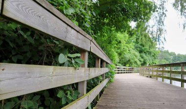 Conservation Halton 'da yuva yapmış Kelso Cove Su Parkı yemyeşil alanlarla çevrili su aktiviteleriyle ferahlatıcı bir kaçış sunuyor. Sadece 15 dakikalık bir sahil yürüyüşü. Aile eğlencesi ve doğayla bağ kurmak için mükemmel..