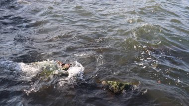 Güzel deniz manzarası