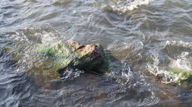 Su üzerinde deniz taşları