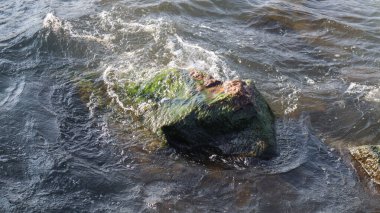 Taşlı ve taşlı deniz suyu