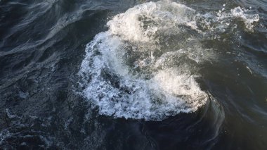 Sahilde deniz köpüğü