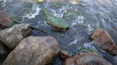 Sahilde taşlı deniz suyu