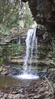 Ekim ayında Halton Koruma Parkı 'nda nefes kesici bir manzara var. Sonbahar mevsimi açılırken, ağaçlar kırmızı, turuncu ve sarı renkli canlı tonlarda boyanır, parkların ve göllerin etrafını saran çarpıcı doğal bir duvar halısı oluşturur.. 