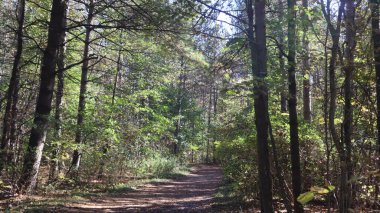 Ekim ayında Halton Koruma Parkı 'nda nefes kesici bir manzara var. Sonbahar mevsimi açılırken, ağaçlar kırmızı, turuncu ve sarı renkli canlı tonlarda boyanır, parkların ve göllerin etrafını saran çarpıcı doğal bir duvar halısı oluşturur.. 