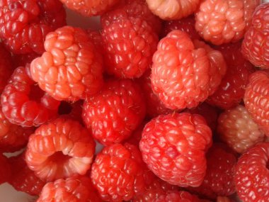 Bahçe, sulu domatesler, tatlı kirazlar, tart ahududu, gevrek yeşil erikler ve taze sebzelerle dolu bir ödül..