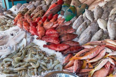 Balık pazarında buzda taze çiğ balık satılıyor. Deniz ürünleri deseni. Gıda arkaplanı.