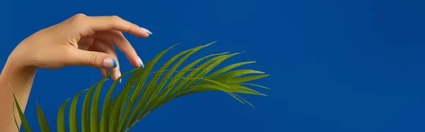 Gepflegte Frauenhände Mit Palmblatt Auf Blauem Hintergrund Flache Lageoberfläche Strandurlaub — Stockfoto