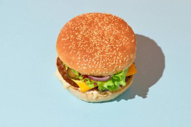 Klasik geleneksel çizburger, sığır eti, domates, marul, turşu ve soğanlı. Barbekü ızgara menüsü. Modaya uygun uzun gölgeler