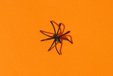 Cadılar Bayramı konsepti. Örümcek ve turuncu arka plan. Ürkütücü kartpostal tebrik kartı.