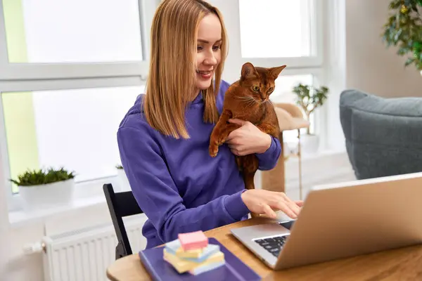 Smiling young adult woman in violet hoodie with abyssinian cat using laptop. Remote education. Work from home concept