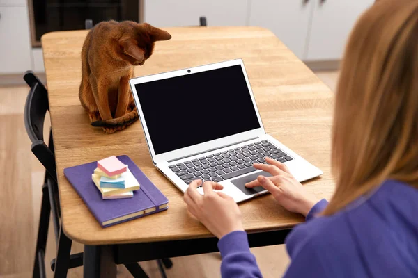 Young adult woman in violet hoodie with abyssinian cat using laptop. Remote education. Work from home concept