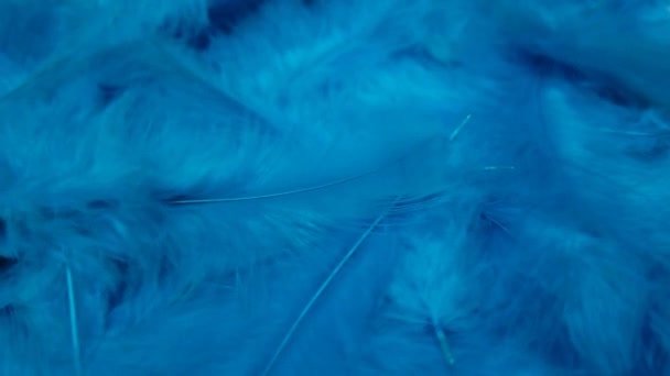 淡蓝色的羽毛 动作优美 羽毛表面 优雅的羽毛模板 慢动作 — 图库视频影像