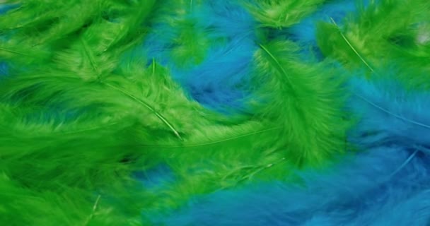 Soft Green Blue Feathers Moving Gracefully Elegant Slow Motion Full — Stok video