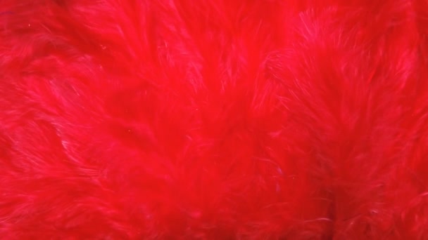 红色羽状表面呈柔软运动 慢动作羽毛图案 — 图库视频影像