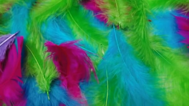 多彩的羽毛在运动旋转中 羽状表面的软绵绵 4K视频 多种颜色的羽毛 — 图库视频影像