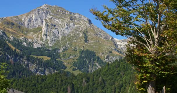 Живописный Горный Пейзаж Швейцарские Горы Солнечный Летний День — стоковое видео