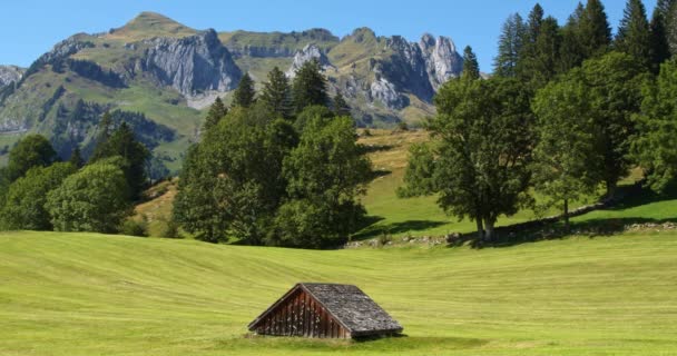 Старый Деревянный Амбар Посреди Швейцарского Поля Красивые Горы Заднем Плане — стоковое видео