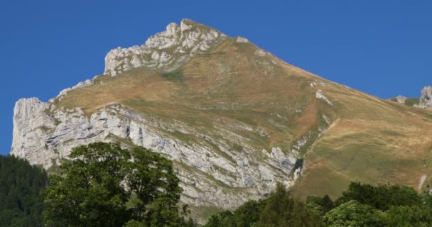 Landschaftliche Berglandschaft Schweizer Berge Einem Strahlenden Sommertag — Stockvideo