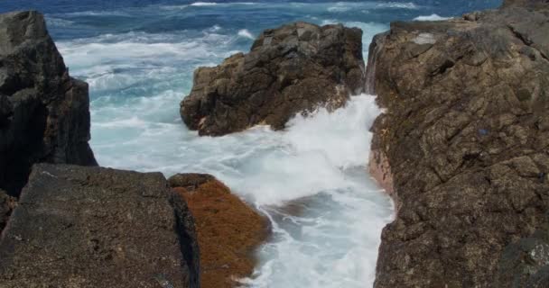 Potężne Fale Zderzają Się Czarnymi Skałami Wulkanicznymi Wybrzeżu Wyspy Fuerteventura — Wideo stockowe