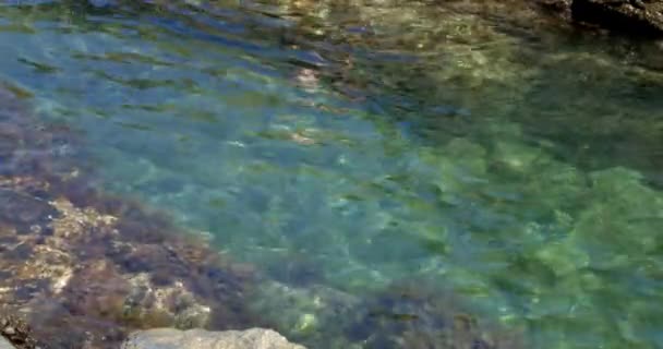 Bellissimo Paesaggio Con Acqua Turchese Primo Piano Una Piscina Naturale — Video Stock