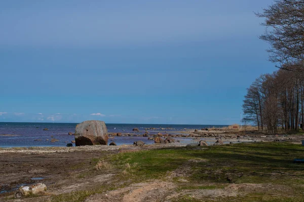 Beautiful Landscape Empty Kardla Beach Estonian Krdla Rand Sunny Spring — Stock Photo, Image