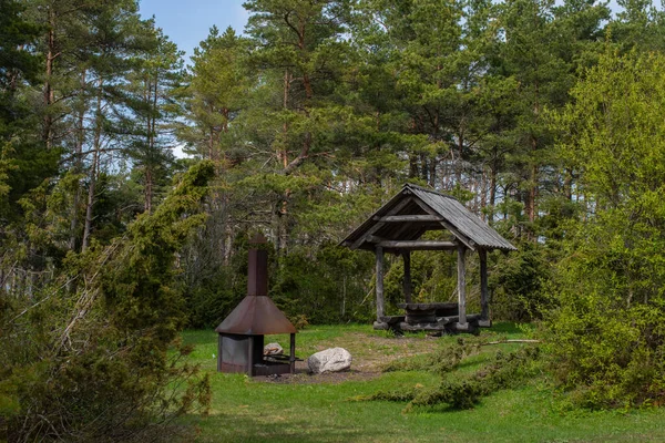 Publiczny Rmk Miejsce Grillowania Środku Estońskiego Lasu Kassari Wyspa Hiiumaa — Zdjęcie stockowe