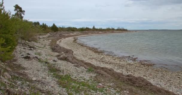 Oförstörd Skönhet Kassari Beach Pärla Estlands Naturskyddsområde Kassari Ett Naturligt — Stockvideo