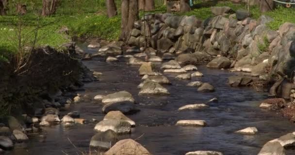 Serenata Naturaleza Cautivador Viaje Acercamiento Largo Río Que Fluye Soleado — Vídeo de stock