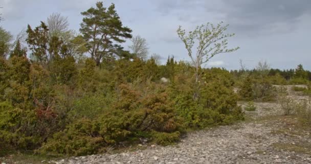 エストニアの風光明媚な不思議に身を浸してください カサリ ランドスケープ保護エリア マドリード島 多様な美しさと手つかずの風景を発見する — ストック動画