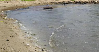 Plastik ve çöp kirliliği çevresel sorunumuzu ortaya çıkarıyor. Değişime duyulan ihtiyaç üzerine güçlü bir görsel ifade