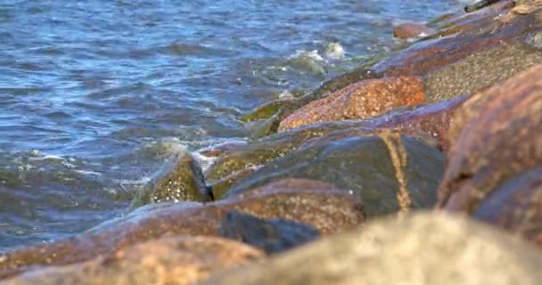 Detailní Záběr Mořských Vln Hravě Hladících Kameny Břehu Okouzlující Tanec — Stock video