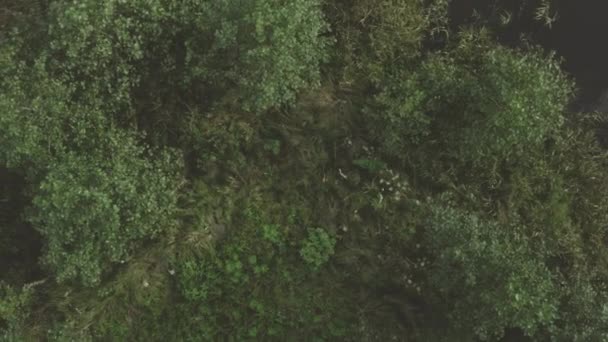 Летите Беспилотником Пока Поднимается Открывая Спокойный Остров Мерцающем Пруду Потрясающая — стоковое видео