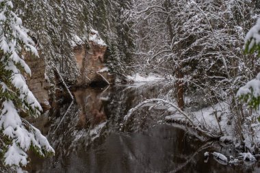 Güney Estonya 'daki güzel kumtaşı kayalıkları, Taevaskoja (Taevaskoda) bulutlu bir kış gününde doğa yolu, Bakire' nin mağarası, Ahja nehri. Uçuruma turistler tarafından kazınmış yazı ve isimler. 