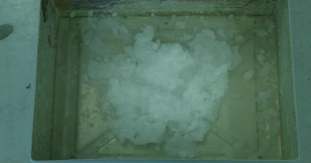 Прохолодна Наука Заливаючи Воду Металеву Коробку Наповнену Рідким Азотом Кадри — стокове відео