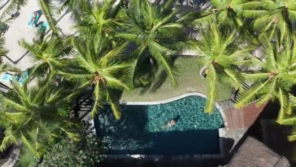 Wyspa Oaza Drone Captures Caucasian Woman Relishing Pool Swim Tropical — Wideo stockowe